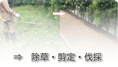 草刈・除草剤散布・剪定・伐採・庭手入れ