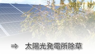 太陽光発電所・ソーラーパネル除草